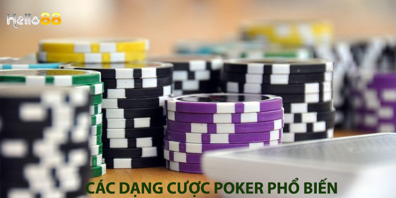 Các dạng cược Poker phổ biến 