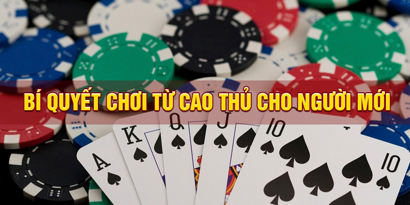 Flush Poker Là Gì? Bí quyết chơi từ cao thủ cho người mới